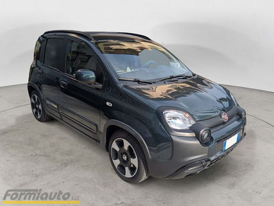 Fiat Panda 1.0 FireFly S&S Hybrid City Cross usata
