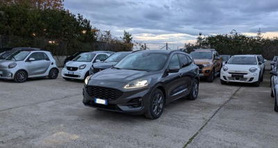 Ford Kuga 1.5 EcoBlue 120 CV 2WD ST-Line usata