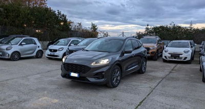 Ford Kuga 1.5 EcoBlue 120 CV 2WD ST-Line usata