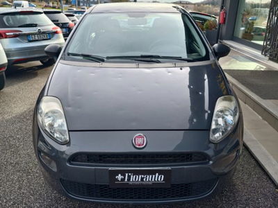 Fiat Punto 1.2 8V 5 porte Racing usata
