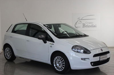 Fiat Punto 1.3 MJT II S&S 85 CV 5 porte ECO Young usata