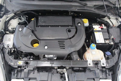 Fiat Punto 1.3 MJT II S&S 85 CV 5 porte ECO Young (18)