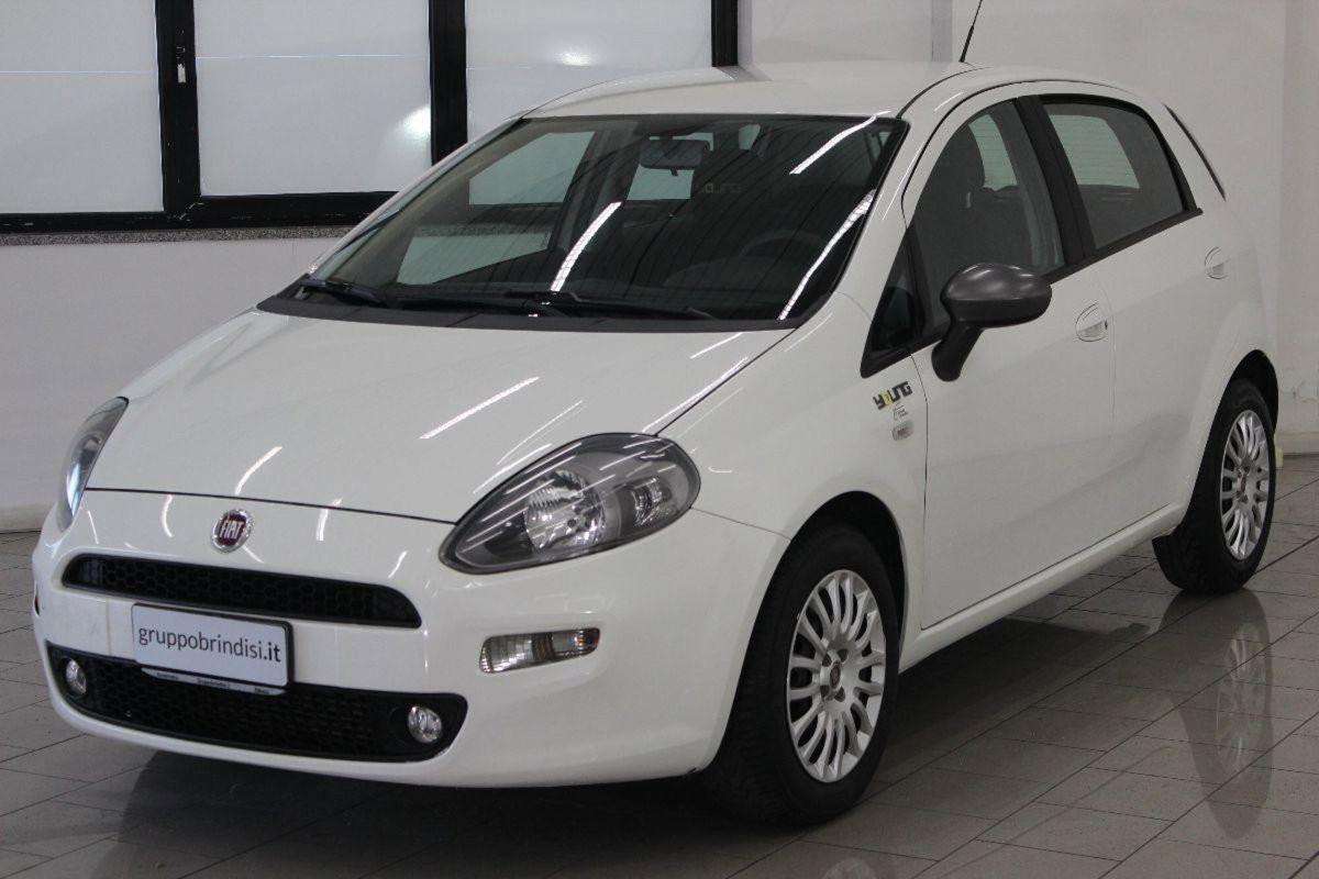 Fiat Punto 1.3 MJT II S&S 85 CV 5 porte ECO Young (3)