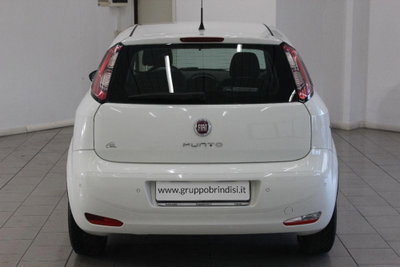 Fiat Punto 1.3 MJT II S&S 85 CV 5 porte ECO Young (5)