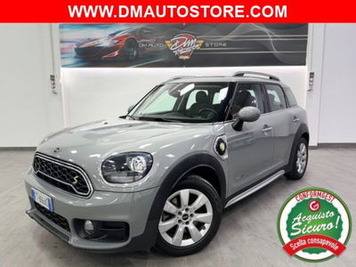 MINI Mini Countryman 2.0 Cooper S Countryman ALL4 usata