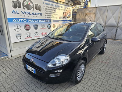 Fiat Punto 1.4 8V 5 porte Natural Power Street usata