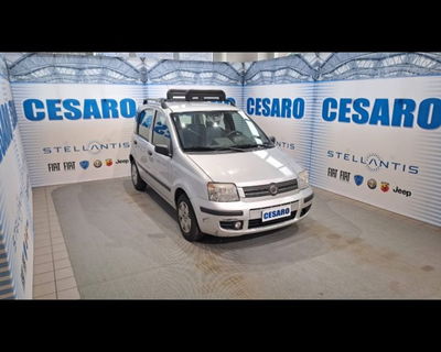 Fiat Panda 1.2 Dynamic Eco usata