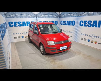 Fiat Panda 1.2 Dynamic usata