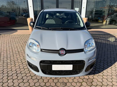 Fiat Panda 1.0 FireFly S&S Hybrid usata