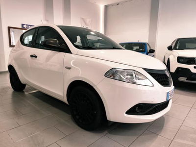 Lancia Ypsilon 1.2 69 CV 5 porte S&S Elefantino Blu usata