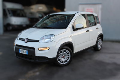 Fiat Panda 1.0 FireFly S&S Hybrid City Cross usata