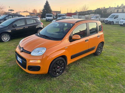 Fiat Panda 1.2 Lounge usata