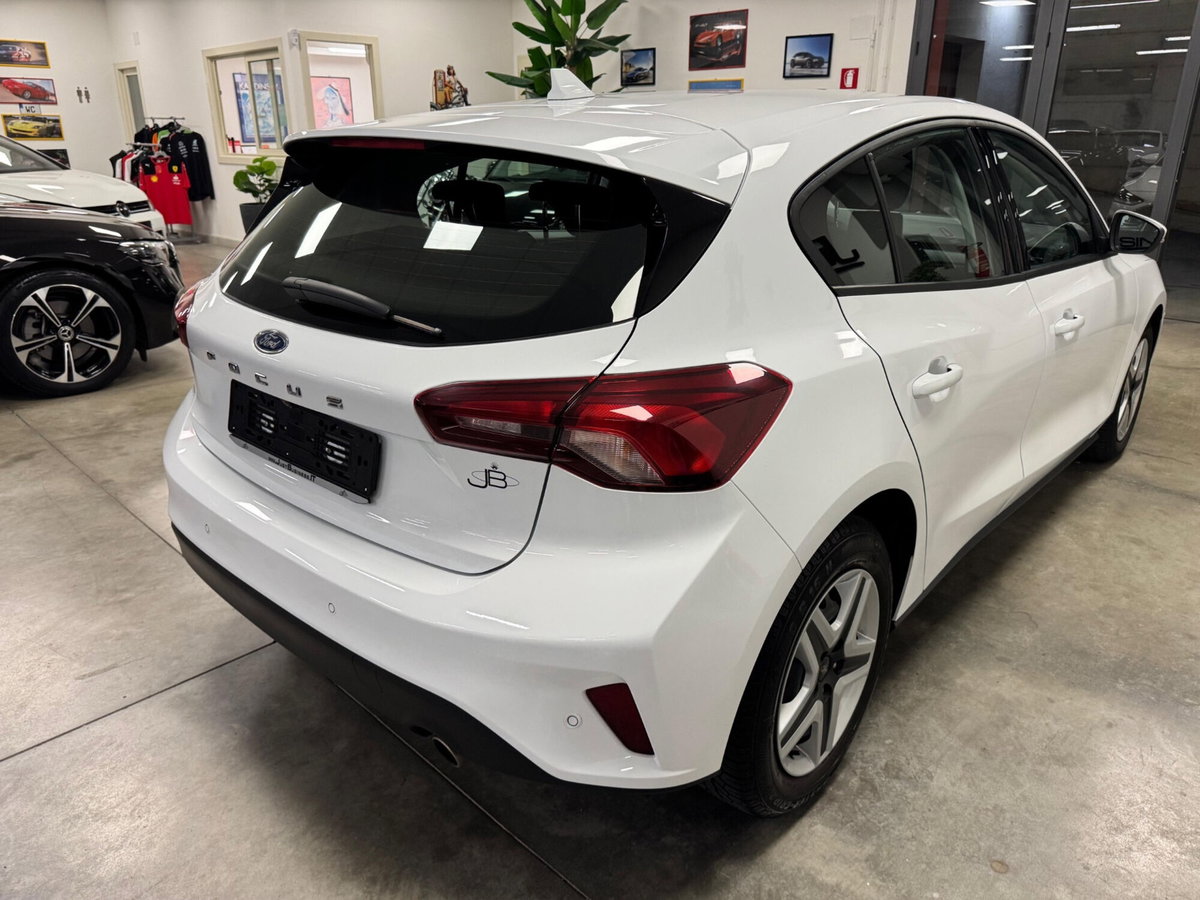 Ford Focus 1.5 EcoBlue 120 CV automatico 5p. Business (4)