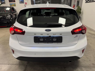 Ford Focus 1.5 EcoBlue 120 CV automatico 5p. Business (5)