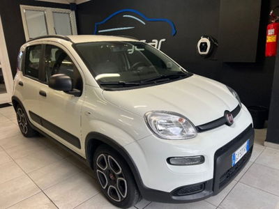 Fiat Panda 1.0 firefly hybrid s&s 70cv 5p.ti usata