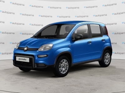 Fiat Panda Cross Cross 1.0 FireFly S&S Hybrid nuova
