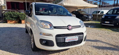 Fiat Panda 1.2 EasyPower Easy usata
