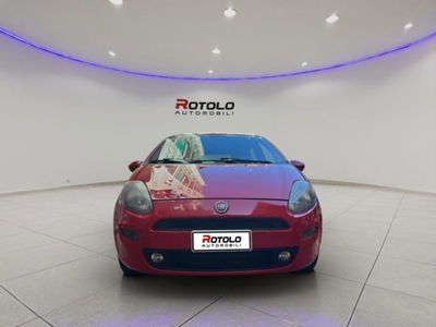 Fiat Punto 1.3 MJT II S&S 85 CV 5 porte ECO Lounge usata