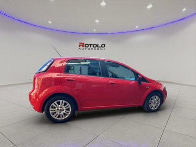 Fiat Punto 1.3 MJT II S&S 85 CV 5 porte ECO Lounge (3)