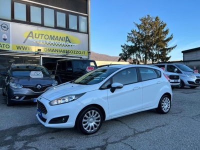 Ford Fiesta 1.4 5 porte Bz.- GPL Titanium usata