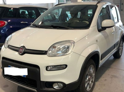Fiat Panda 1.3 MJT 80 CV S&S 4x4 usata