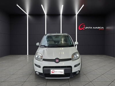 Fiat Panda 1.3 MJT 95 CV S&S 4x4 usata