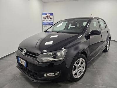 Volkswagen Polo 1.4 5 porte Comfortline usata