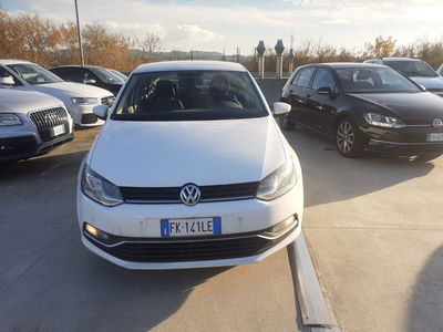 Volkswagen Polo 1.4 TDI 5p. Trendline BlueMotion Technology usata