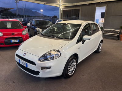 Fiat Punto 1.3 MJT II 75 CV 5 porte Lounge usata
