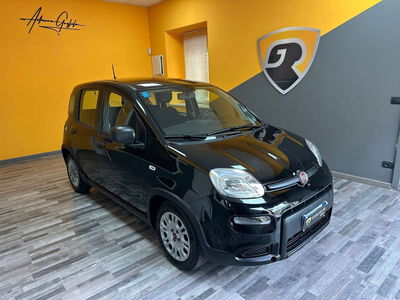 Fiat Panda Cross Cross 1.0 FireFly S&S Hybrid usata