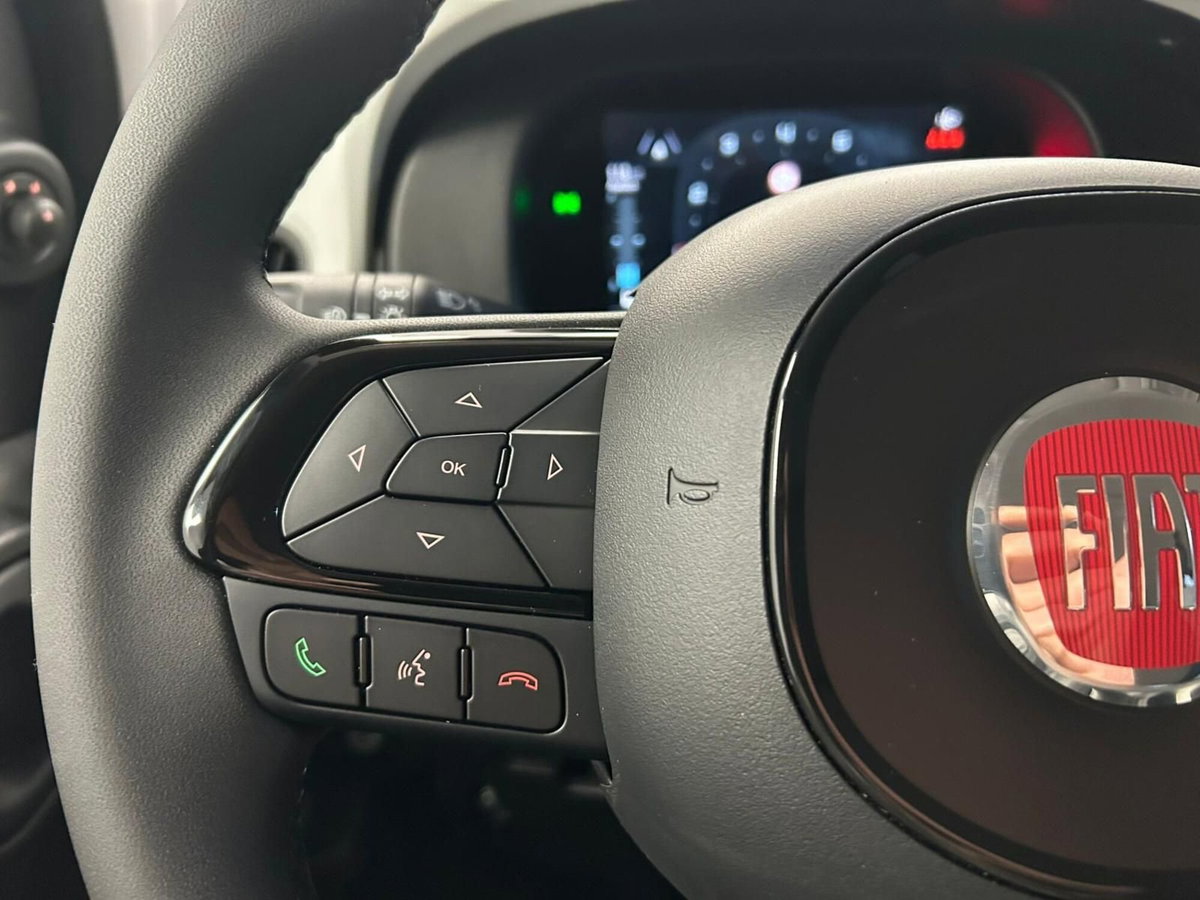 Fiat Panda Cross Cross 1.0 FireFly S&S Hybrid (12)
