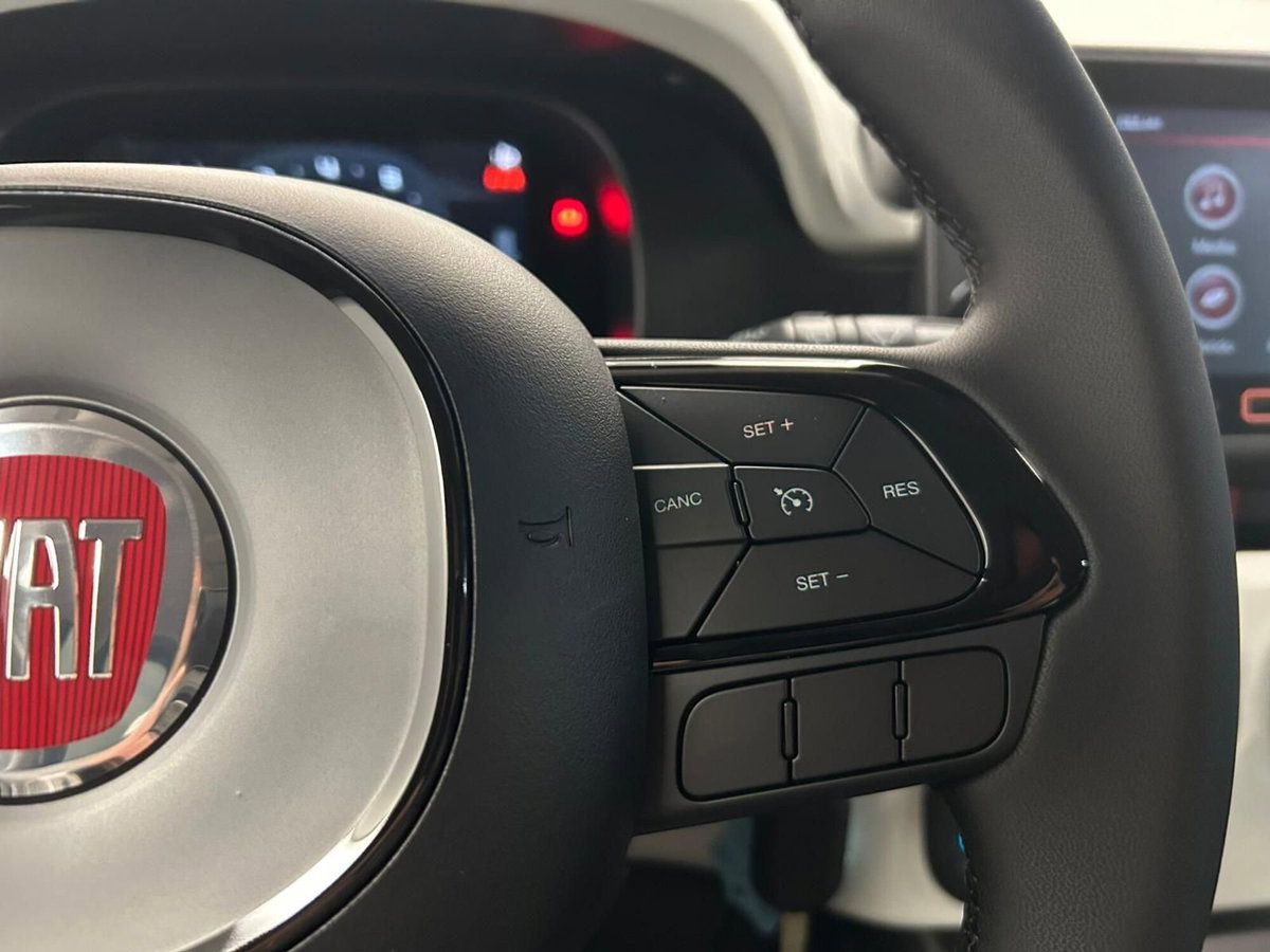 Fiat Panda Cross Cross 1.0 FireFly S&S Hybrid (13)