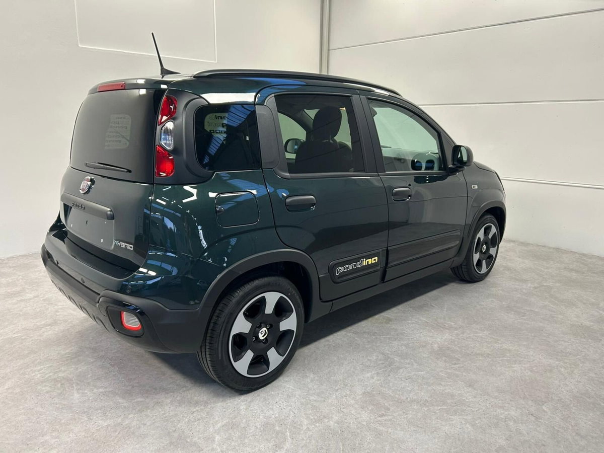 Fiat Panda Cross Cross 1.0 FireFly S&S Hybrid (6)