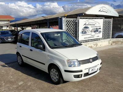 Fiat Panda 1.2 Emotion usata
