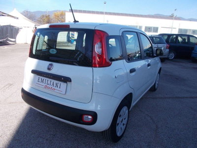 Fiat Panda 1.2 Pop (3)