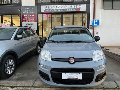 Fiat Panda 1.0 firefly hybrid Pop s&s 70cv usata
