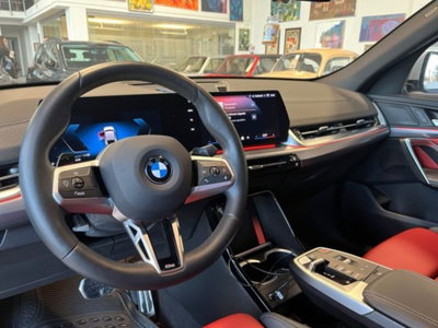 BMW X2 sdrive 18d MSport auto (15)