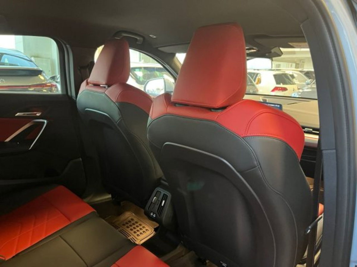 BMW X2 sdrive 18d MSport auto (18)