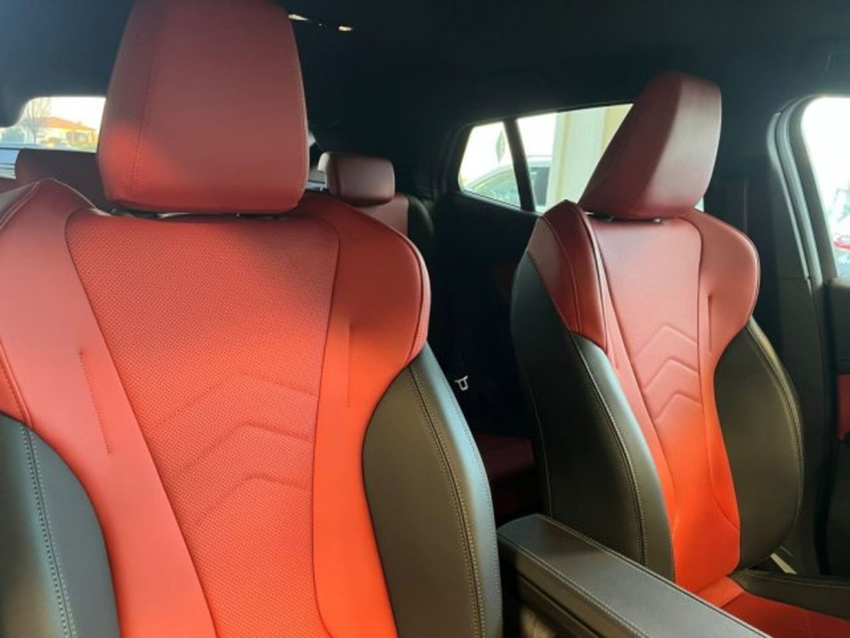 BMW X2 sdrive 18d MSport auto (20)