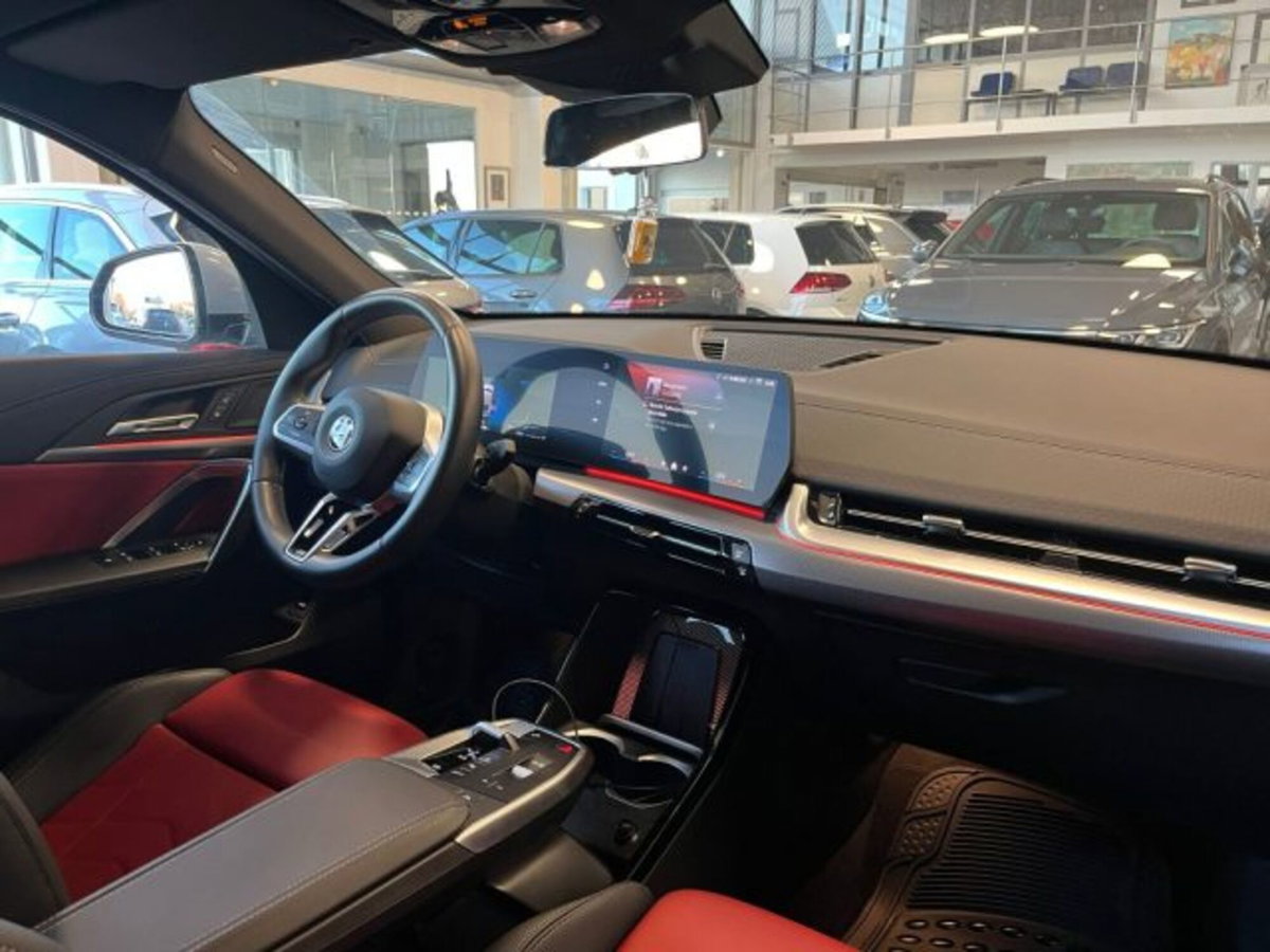BMW X2 sdrive 18d MSport auto (9)