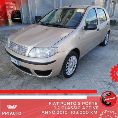 Fiat Punto Classic 1.2 5 porte Active usata