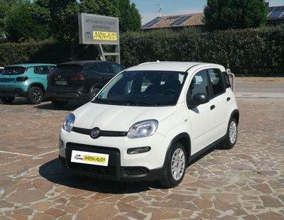 Fiat Panda 1.0 firefly hybrid s&s 70cv 5p.ti usata