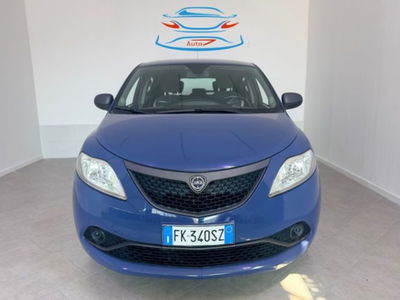 Lancia Ypsilon 1.2 69 CV 5 porte Gold usata