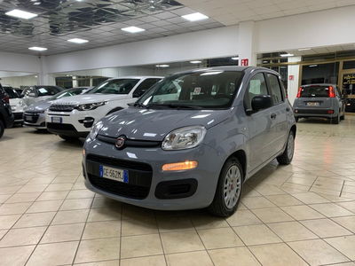 Fiat Panda Cross Cross 1.0 FireFly S&S Hybrid usata