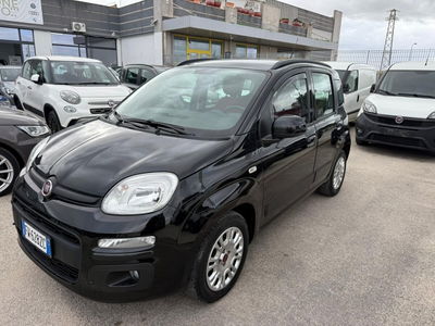 Fiat Panda 1.2 Connected by Wind usata