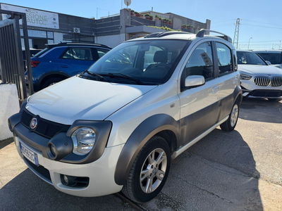 Fiat Panda 1.2 Cross Natural Power usata
