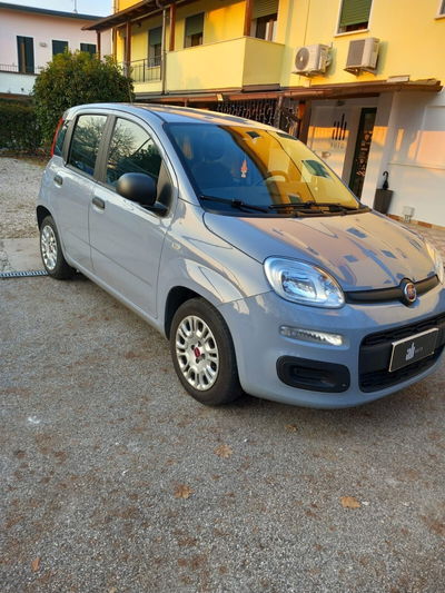 Fiat Panda 1.0 FireFly S&S Hybrid Easy usata