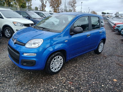 Fiat Panda 1.0 FireFly S&S Hybrid nuova