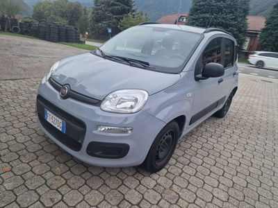 Fiat Panda 1.2 Easy usata