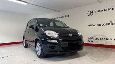 Fiat Panda Cross Cross 1.0 FireFly S&S Hybrid usata